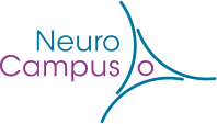 logo2-neurocampus