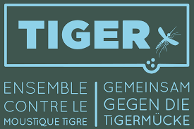 Tiger_projekt.png